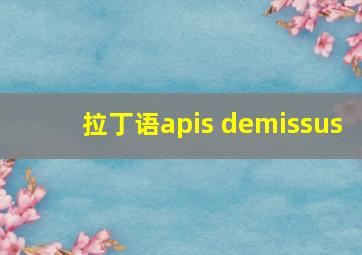 拉丁语apis demissus